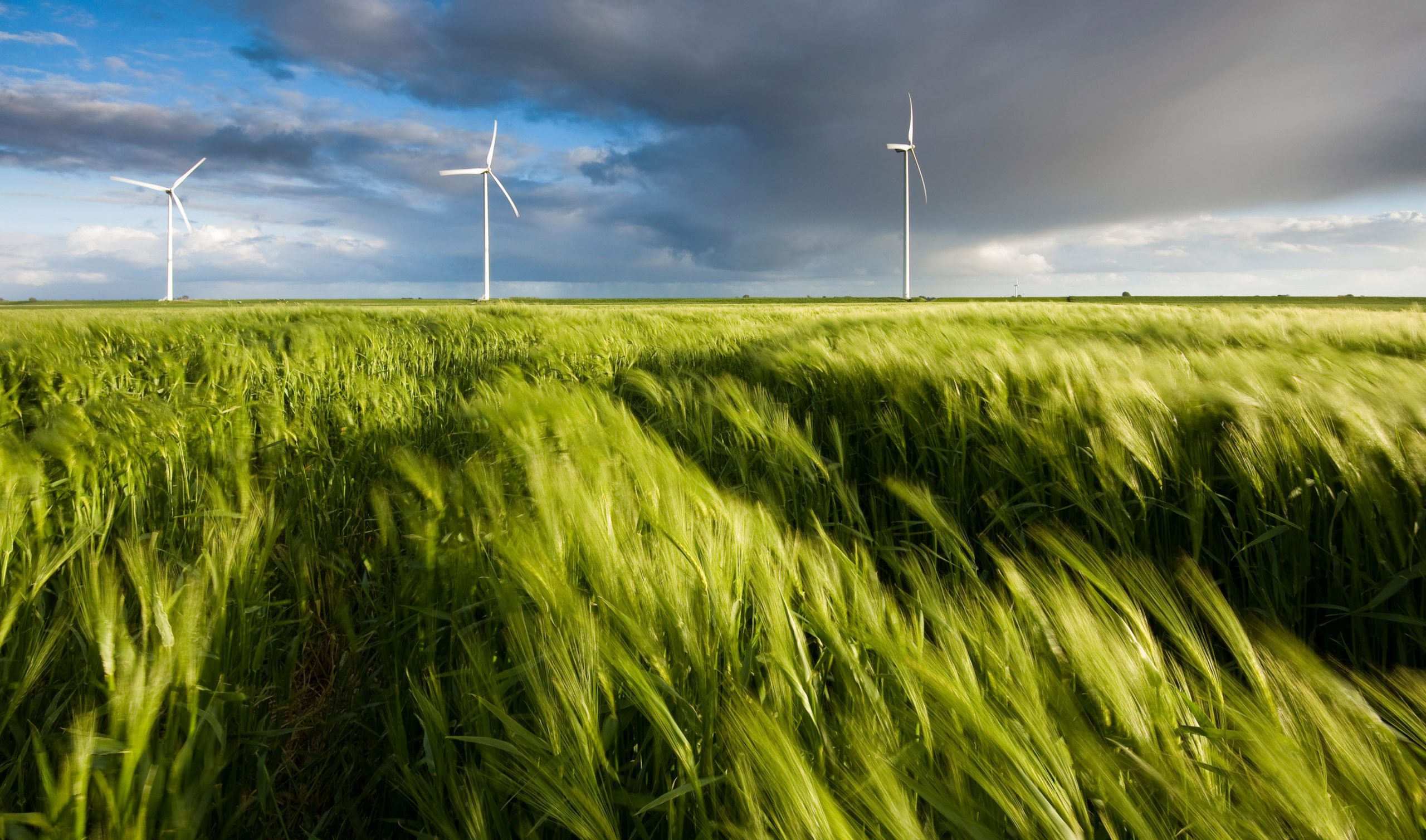 ESG and the Energy Transition — Here to Stay, With Opportunities for Technology Leadership