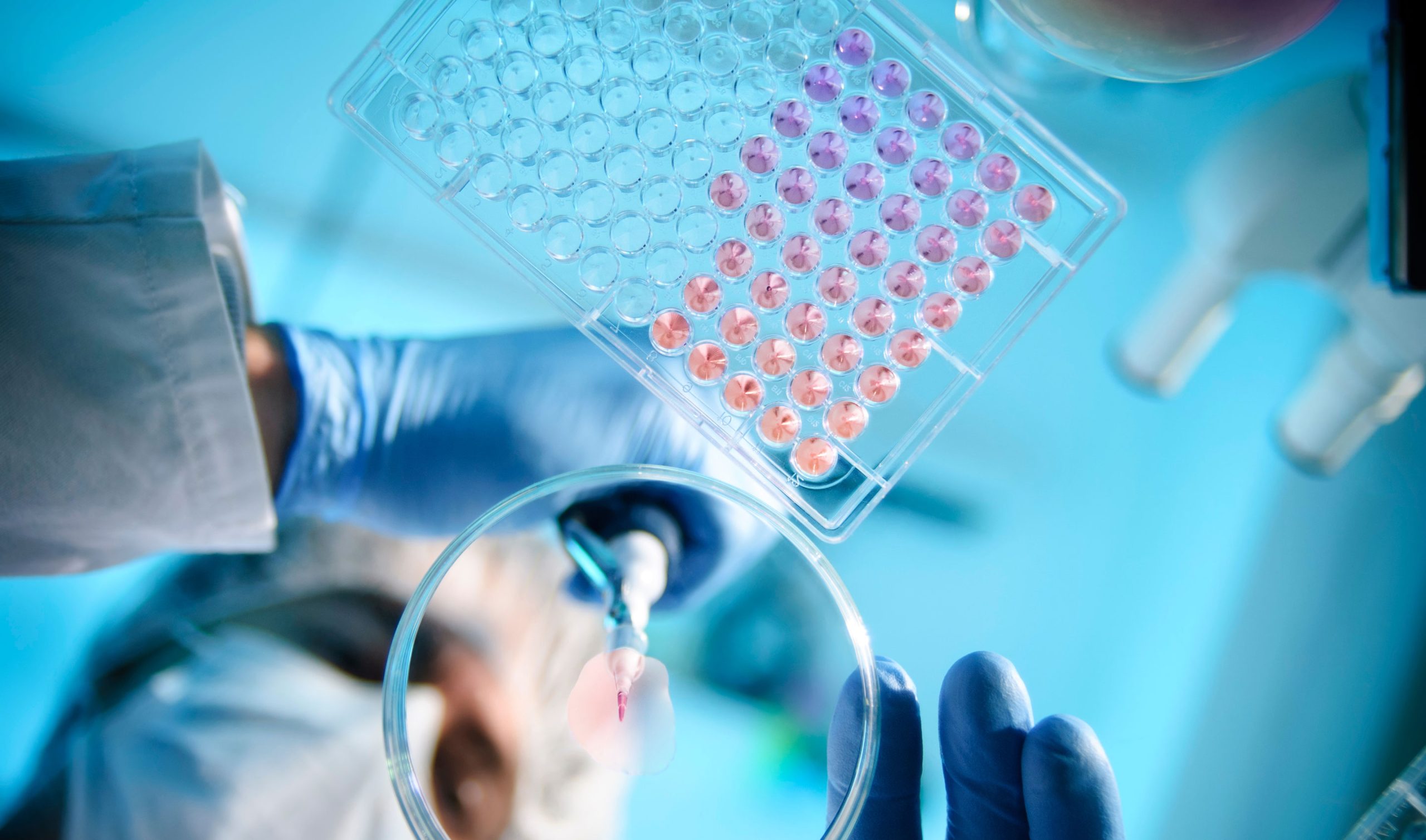 <br />
<b>Warning</b>:  Undefined variable $hero_id in <b>/home/site/wwwroot/wp-content/themes/arthut-d-little/single.php</b> on line <b>97</b><br />
Fast Pharma: The Cost of Coming in Second in Clinical Trials